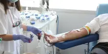 West Nile: “Test sul sangue per non bloccare le donazioni”