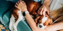 ‘Pet lover’ alfieri della sostenibilità diffusa