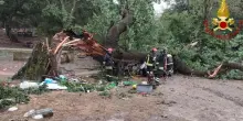 Albero colpito da fulmine cade su auto. Muore un uomo a Ferrandina, vicino Matera. Feriti tre amici