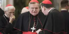 La battaglia sulla messa in latino, Leone autorizza una celebrazione a San Pietro con Burke