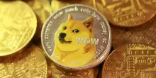 La Triestina salvata da Dogecoin, la criptovaluta nata per scherzo che piace a Musk