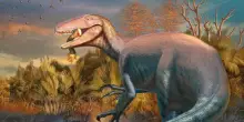 Scoperto il dinosauro più feroce, era peggio del T-Rex: morto con una zampa di coccodrillo in bocca