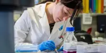 Airc, 60 anni di lotta al cancro. “La metà dei fondi per la ricerca viene dai privati”