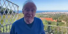 La satira nel mondo di prima