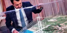Ponte sullo Stretto, nuovo stop. La Corte dei conti: “Dubbi su iter appalto e costi”
