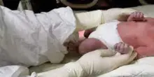 Neonato morto nella culla termica, gli esiti dell’autopsia: la verità sul decesso