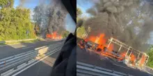 Bus prende fuoco, inferno sulla statale: fiamme alte e fumo, traffico paralizzato
