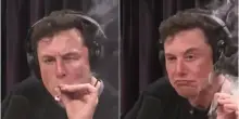 Elon Musk e la ketamina, l’inchiesta shock del New York Times