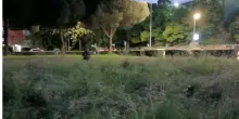 Ucciso a coltellate: trovato in una pozza di sangue ai giardini pubblici