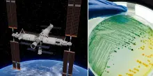 Scoperto batterio sconosciuto nella Stazione Spaziale Cinese: resiste a condizioni estreme