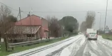 Tempesta di grandine in Italia, chicchi giganteschi e strade imbiancate: “Danni incalcolabili”
