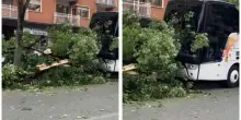 Italia. Bus con una scolaresca si schianta: impatto micidiale contro un albero
