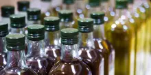 Contaminati ma promossi nel test: i sospetti sugli oli extravergine di oliva italiani