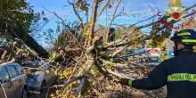 Italia, raffiche di vento abbattono alberi e colpiscono auto: è caos