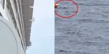 Bimba precipita dalla nave da crociera: le immagini drammatiche