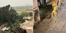 Maltempo in Italia: grandine, alberi caduti e raffiche a 85 km/h. Allerta e disagi