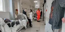 Non solo virus e caldo, in arrivo l’incubo peggiore: attenzione, soprattutto i bambini
