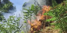 Prima un boato e poi le fiamme altissime, paese circondato: un inferno di fuoco