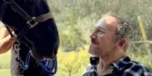 Cinema italiano in lutto, addio: “Te ne sei andato troppo presto”