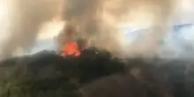 Fuoco e fiamme in Italia: 14 incendi in una sola giornata, la situazione è drammatica