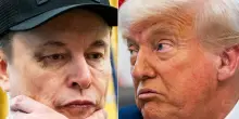 Trump gela Musk: “Vuole parlarmi, ma non mi interessa”