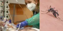 Virus West Nile, un altro morto in Italia: aumenta la preoccupazione! Cosa succede
