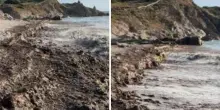 Le alghe inghiottono la spiaggia de ‘La Sirenetta’, un disastro tutto italiano
