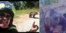 I cuccioli dell’orsa, abbandonati e invisibili. Una storia assurda