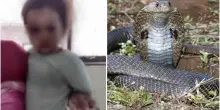 Trova un cobra in casa, il bimbo si salva così a soli 2 anni: una scena incredibile