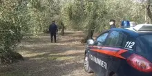 “Immerso in una vasca di letame”. Orrore in Italia, il corpo ritrovato così: aveva solo 37 anni