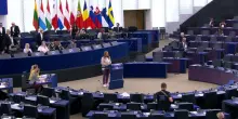 Elena Donazzan, la meloniana spacca il Parlamento europeo: “I bambini di Gaza sono figli di terroristi usati come scudi umani”