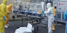 West Nile, virus arrivato in tutta Italia: “Circola nella zanzara Culex e negli uccelli”