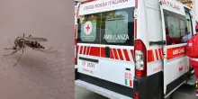 West Nile, seconda vittima nel Lazio: un altro malato morto nel Casertano, accertati 16 nuovi casi