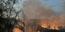Incendio devastante in Italia: case minacciate, famiglie in fuga