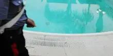 Bimbo trovato in fondo alla piscina, è arrivata la peggiore delle notizie: il dramma a soli 2 anni
