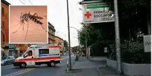 Allarme Dengue in Italia, uomo isolato in casa! Cosa sta succedendo