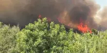 Incendio devastante in Italia, fiamme vicinissime a case e residence: evacuazioni in corso