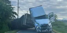 Tir si ribalta in un incidente, scappano 14 milioni di api. Paura tra i residenti: “Restate in casa”