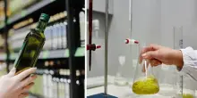 Olio del supermercato extravergine? Non proprio: cosa rivela l’ultimo test dell’Università di Messina. Ecco che c’è dentro