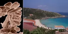 Escherichia Coli in Italia, scatta il divieto di balneazione: ecco dove