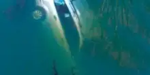 Tragico incidente, bambino intrappolato nell’auto finita nel fiume. Sette metri sotto l’acqua