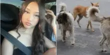 Orrore mentre fa jogging, 17enne assalita da 10 cani. Mamma Maria disperata: “Solo il reggiseno….”, terrificante