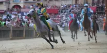 Palio di Siena 2025: trionfo del Valdimontone con Gingillo su Anda e Bola