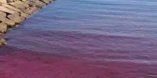 “Il mare è fucsia!”, paura nella spiaggia italiana. Scatta il divieto di balneazione: “Pericoloso, ecco cosa è”