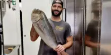 “Chef Roberto non c’è più”. La terribile malattia scoperta solo pochi mesi fa: notizia shock