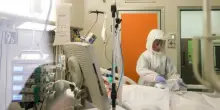 “Chiamate il medico se avete questi sintomi”. West Nile, l’allarme degli esperti: cosa fare