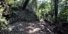 Italia. Trovati resti umani nel ‘bosco degli orrori’: “Purtroppo è lui”, era scomparso