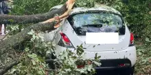 Raffiche oltre i 100 km/h, danni ingenti e paura tra i turisti: incubo in Italia (VIDEO)