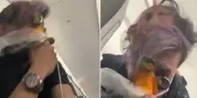 Aereo costretto a un atterraggio d’emergenza dopo un impatto con un uccello