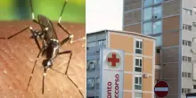 Febbre del Nilo, ancora casi: “Pazienti in terapia intensiva”. Cresce la paura